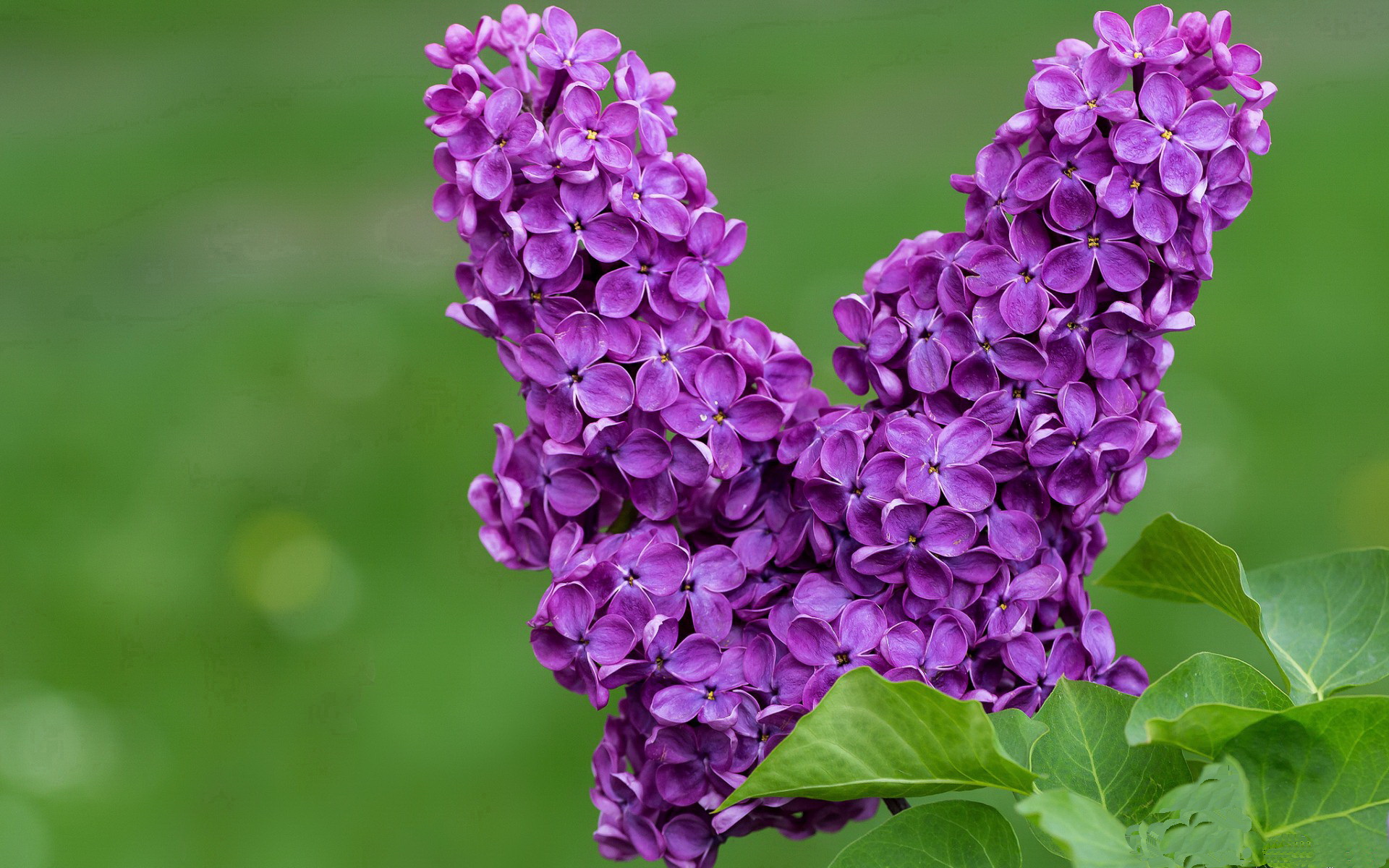 九游APP-高强度对抗赛检验身体极限教练注重恢复安排，高强度对抗运动