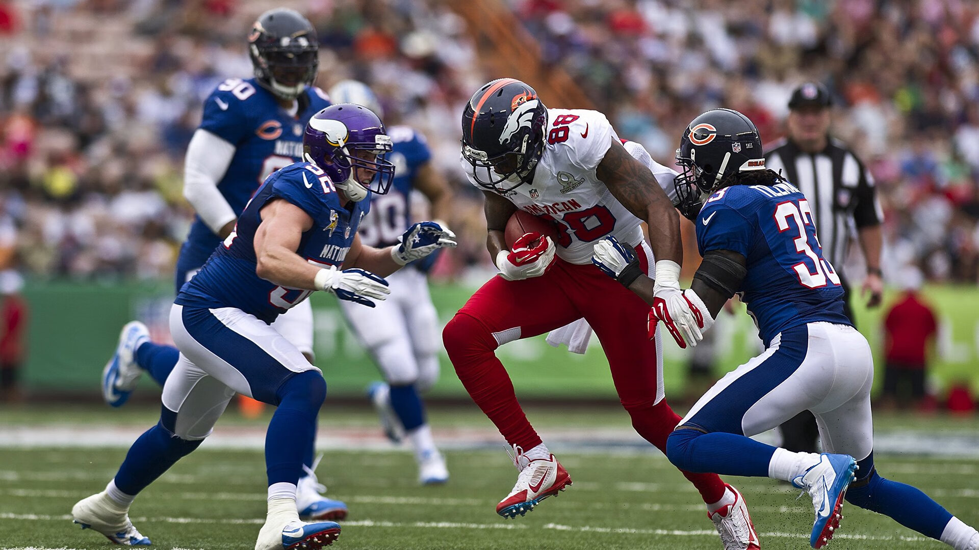 “荒野猎手：沙漠与森林中的激烈追逐”，荒野 沙漠